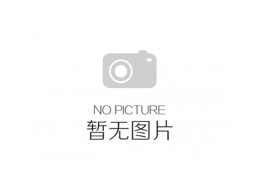 巢湖市TU叉車公司